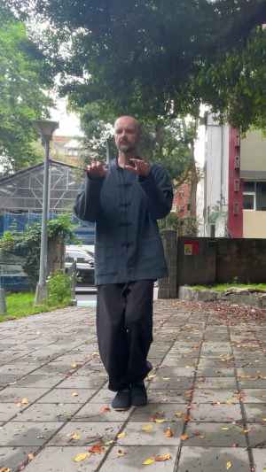 2 tai chi step