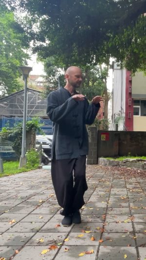 3 tai chi step