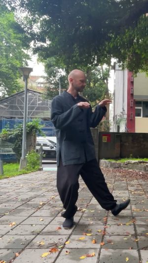 4 tai chi step