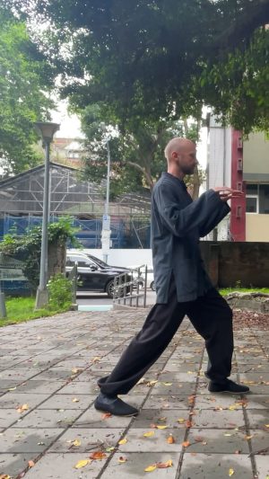5 tai chi step