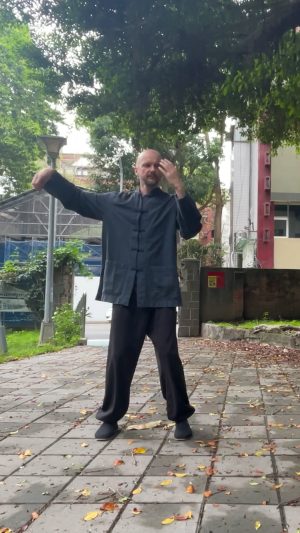 single whip cross hand